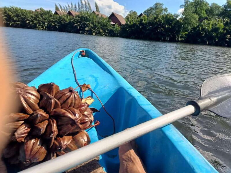 Kayak trip around Green cathedral, Swim, Reflection sunset - Final thoughts