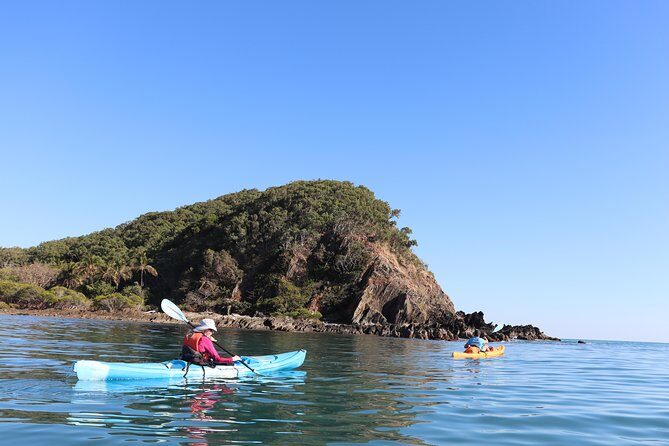 Kayak Turtle Tour from Palm Cove - Exploring the Palm Cove Kayak Turtle Tour: An Authentic Australian Coast Adventure