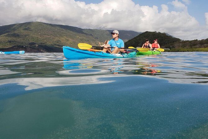 Kayak Turtle Tour from Palm Cove - An In-Depth Look at the Kayak Turtle Tour