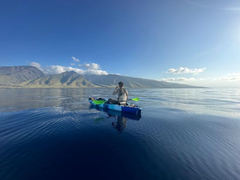 Kayak, Whale Watch And Snorkel At Turtle Town - Authentic Experiences Based on Real Reviews