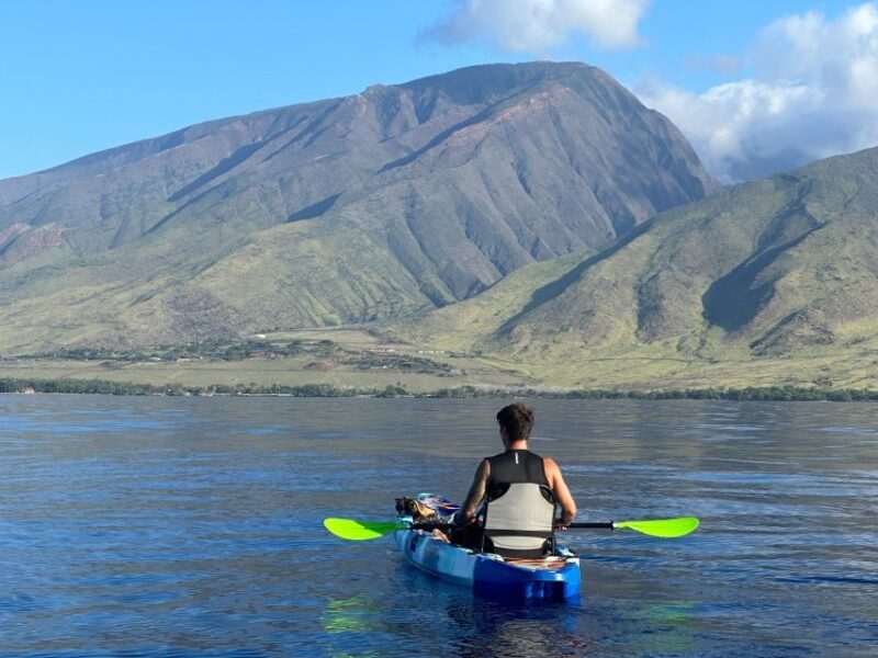 Kayak, Whale Watch And Snorkel At Turtle Town - The Sum Up: Who Should Consider This Tour?