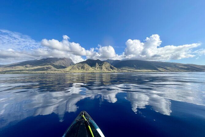 Kayak, Whale Watch, and Snorkel With Optional Photo and Video - Exploring the Details: What You Can Expect from This Tour