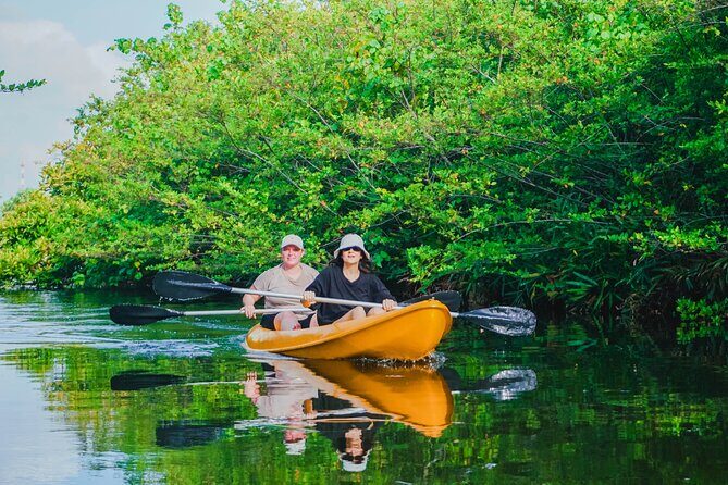 Kayaking Adventure on serene waters through mangroves, Akurala - What Makes This Tour Special?