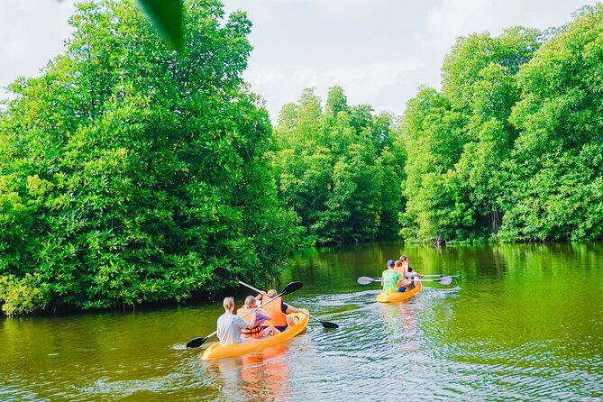 Kayaking Adventure on serene waters through mangroves, Akurala - The Guides: Knowledgeable and Friendly