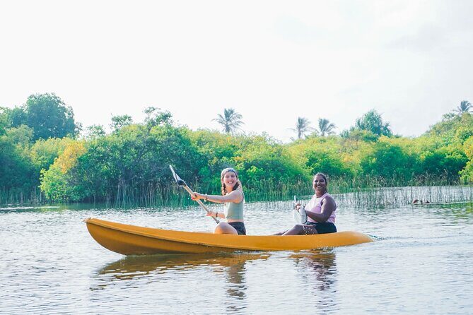 Kayaking Adventure on serene waters through mangroves, Akurala - Value and Pricing