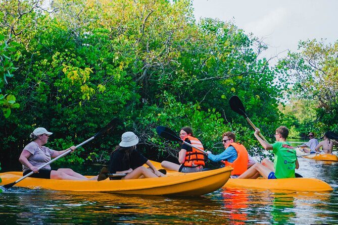 Kayaking Adventure on serene waters through mangroves, Akurala - The Sum Up