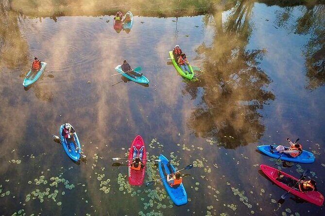 Kayaking adventure through the Xochimilco and Frida Kahlo Canals - Key Points
