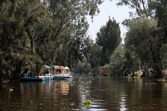Kayaking adventure through the Xochimilco and Frida Kahlo Canals - Exploring the Floating Gardens of Xochimilco