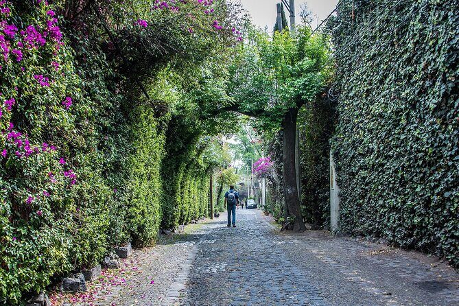 Kayaking adventure through the Xochimilco and Frida Kahlo Canals - The Outside of La Casa Azul: Frida Kahlos Home