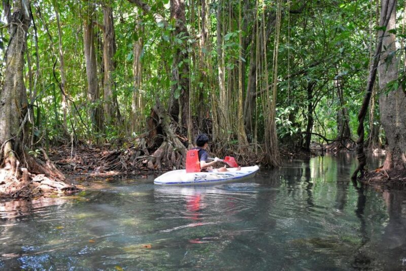 Kayaking and swiming klongrood - What the Reviews Say