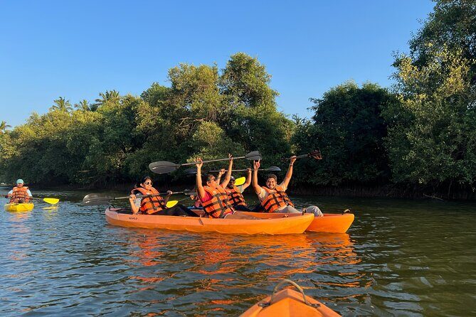 Kayaking At Private Island In Goa - Authentic Feedback and What Travelers Say