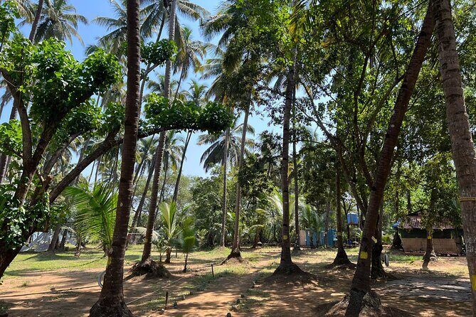 Kayaking At Private Island In Goa - The Sum Up