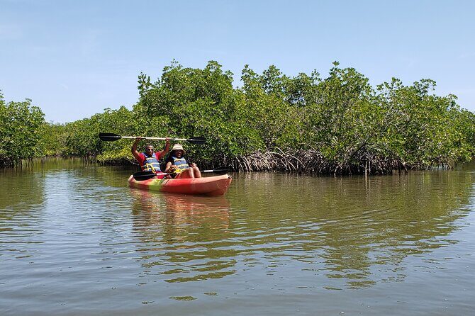 Kayaking Backwaters of New Smyrna Beach Ecotour/Birdwatching - Key Points