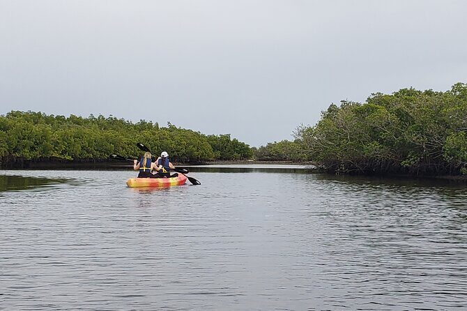 Kayaking Backwaters of New Smyrna Beach Ecotour/Birdwatching - Final Thoughts
