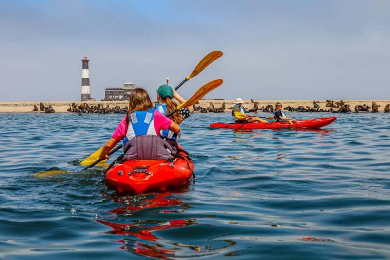Kayaking Combo with Beach Braai - Key Points