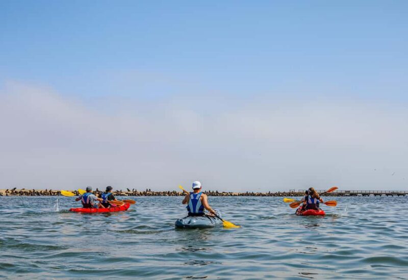 Kayaking Combo with Beach Braai - Starting Point and Early Morning Transfer