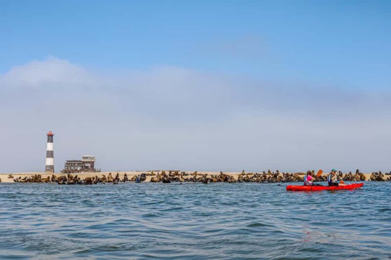 Kayaking Combo with Beach Braai - Sandwich Harbour 4x4 Dune Drive