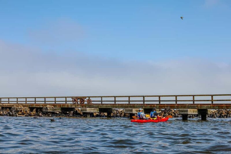 Kayaking Combo with Beach Braai - Practical Tips for Participants