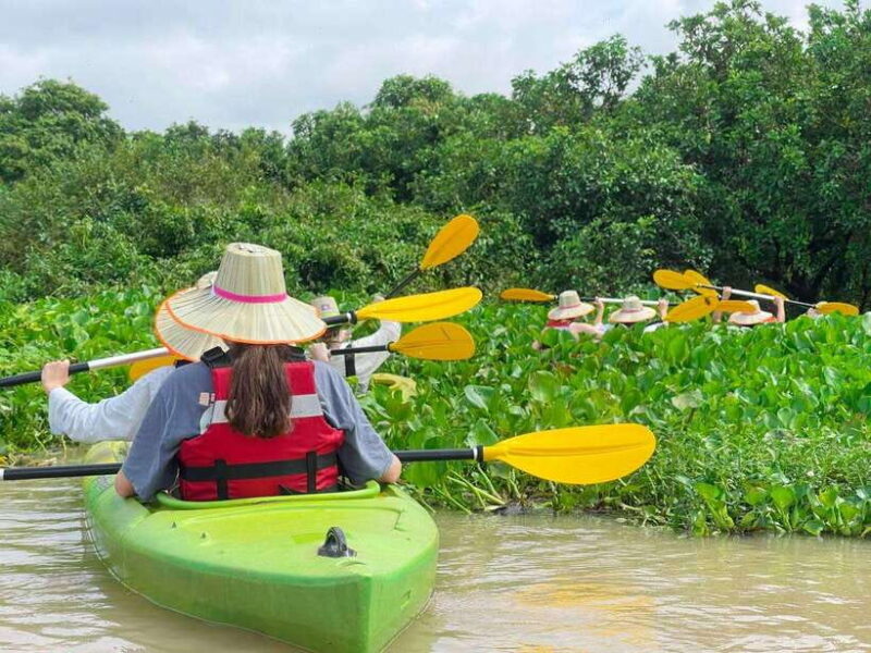 Kayaking & Floating Village in Siem Reap - Introducing the Kayaking & Floating Village Tour in Siem Reap