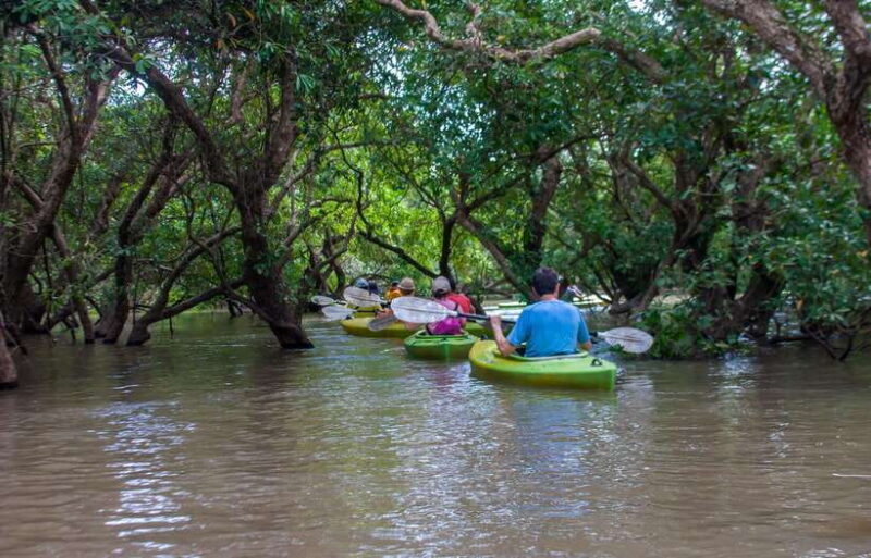 Kayaking & Floating Village in Siem Reap - Key Points