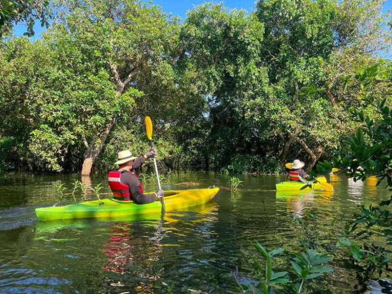 Kayaking & Floating Village in Siem Reap - Deep Dive into the Itinerary