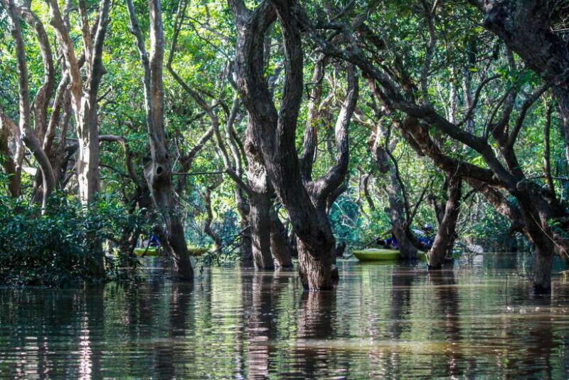 Kayaking & Floating Village in Siem Reap - The Practical Side: Logistics, Cost, and Value