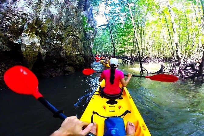 Kayaking in Ao Thalane - Discover the Mangrove life - The Practical Side: Logistics and Tips