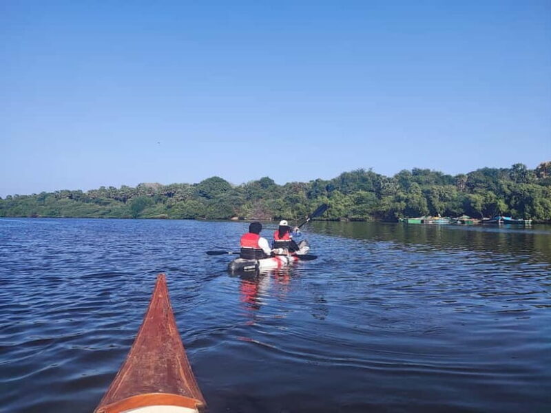 Kayaking in Backwaters of Pondicherry - Key Points