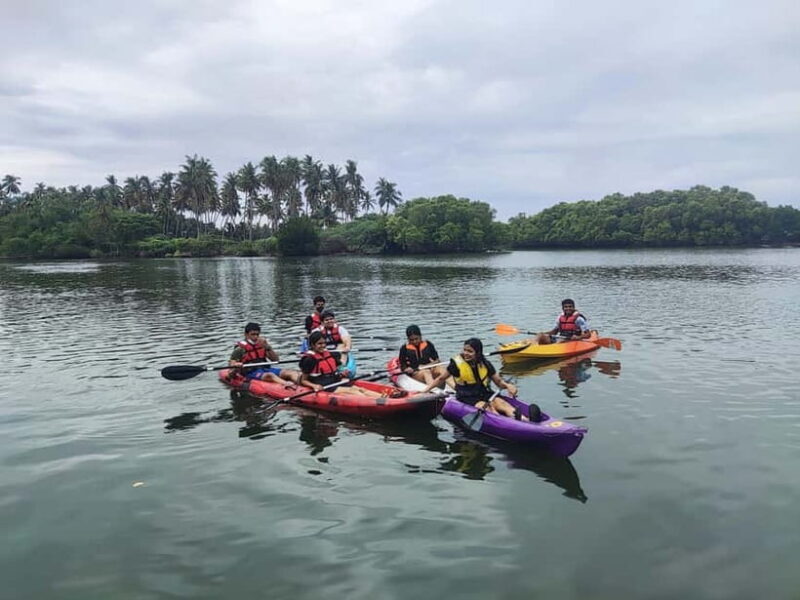 Kayaking in Backwaters of Pondicherry - The Sum Up