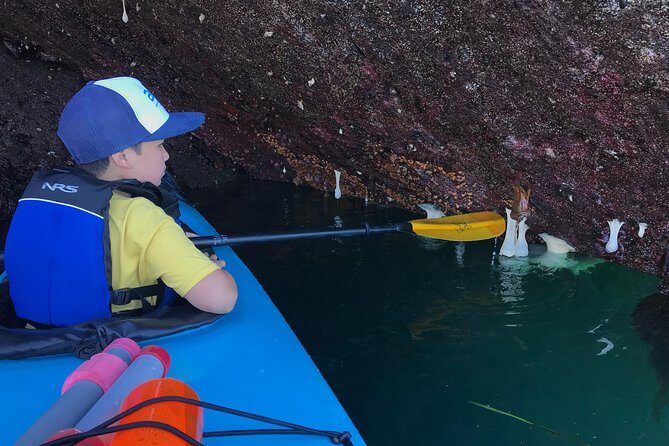 Kayaking in Deception Pass State Park - Itinerary Breakdown