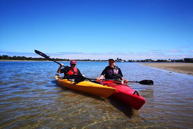 Kayaking in Geelong Victoria - Why Choose This Kayaking Experience in Geelong?