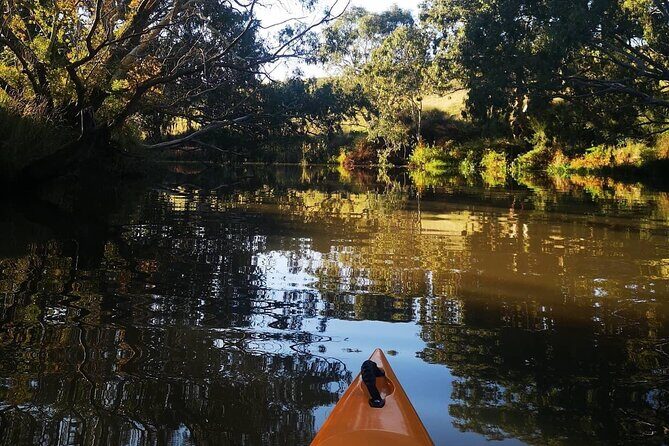 Kayaking in Geelong Victoria - Real Traveler Insights