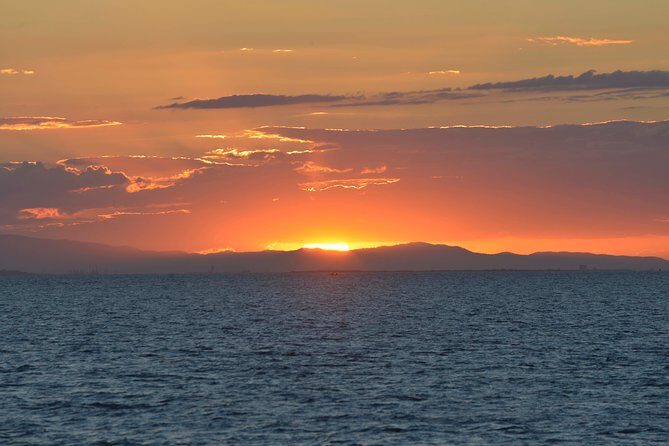 Kayaking in Geelong Victoria - The Sum Up