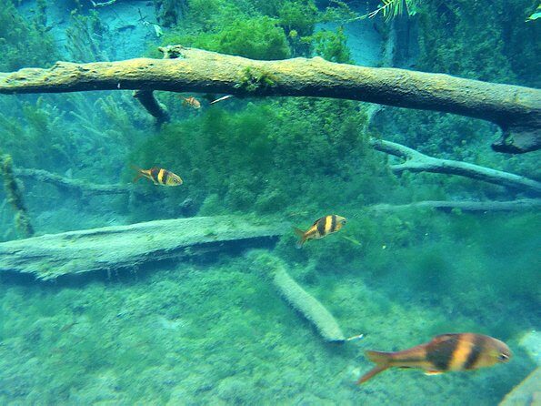 Kayaking in Hidden Freshwater Lagoon, Unseen Krabi Trip - The Journey to Klong Naam Sai: Quiet Waters and Scenic Views
