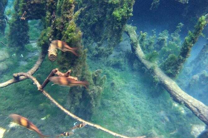 Kayaking in Hidden Freshwater Lagoon, Unseen Krabi Trip - Returning and Reflection