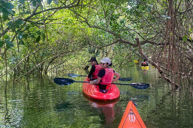 Kayaking in Mangrove Forest of Paravur Backwaters near Varkala and Kollam - Why This Tour Is Worth Considering