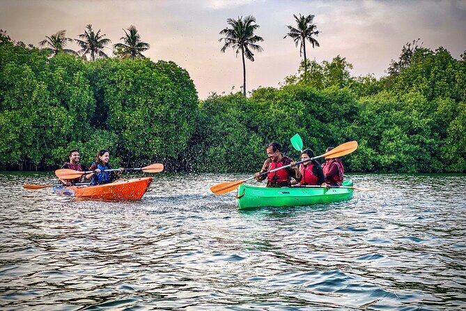 Kayaking in Mangrove Forest of Paravur Backwaters near Varkala and Kollam - The Sum Up