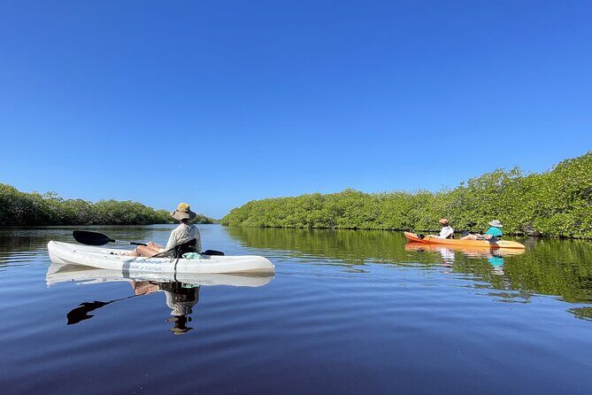 Kayaking in the Mangroves Experience - An Introduction to the Kayaking in the Mangroves Experience