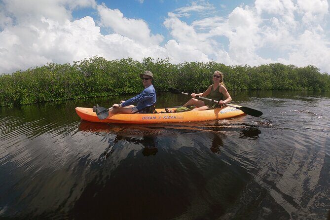Kayaking in the Mangroves Experience - The Experience’s Value in Context