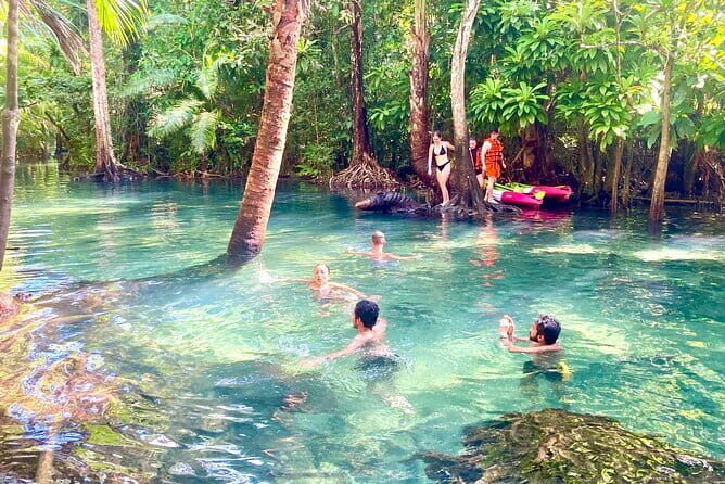 Kayaking Klongroot-Klongnamsai - The Itinerary in Detail: What to Expect