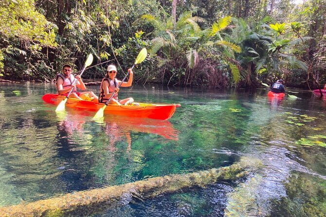 Kayaking Klongroot-Klongnamsai - Practical Tips and Considerations