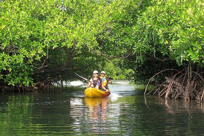 Kayaking Mangrove Adventure at Havelock - An Authentic Look at the Kayaking Mangrove Adventure