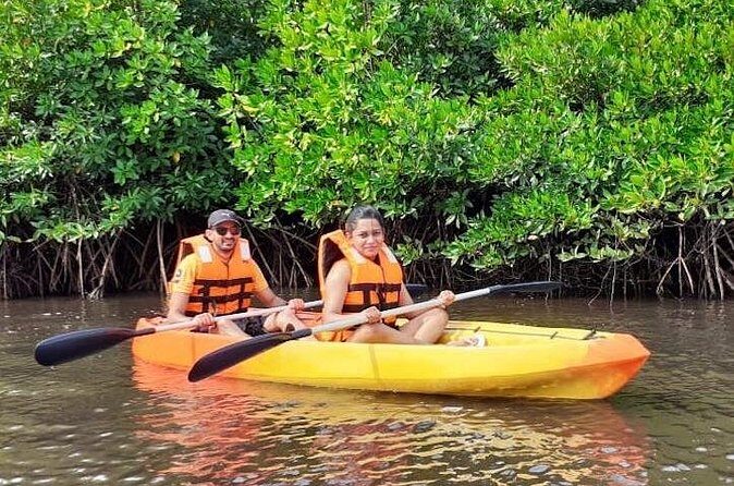 Kayaking Mangrove Adventure at Havelock - Who Will Love This Tour?
