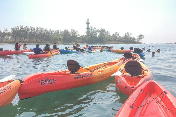 Kayaking on the Island of Sacrifices - The Cost: Is It Worth It?