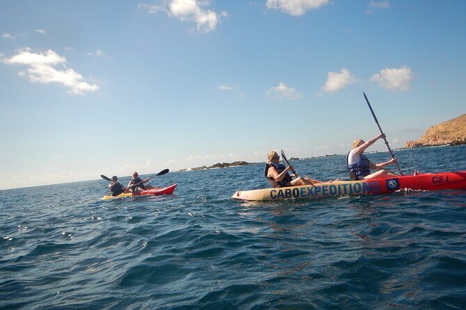 Kayaking & Snorkeling in the Spectacular Waters of Los Cabos - An In-Depth Look at the Tour Experience