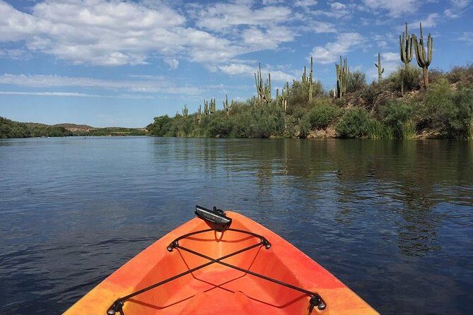 Kayaking the Salt River Foxtail Trip - An Introduction to the Salt River Kayaking Experience