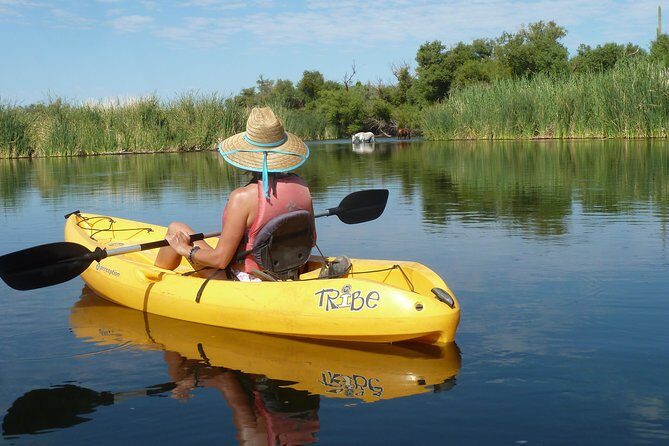 Kayaking the Salt River Foxtail Trip - What to Expect on the Trip