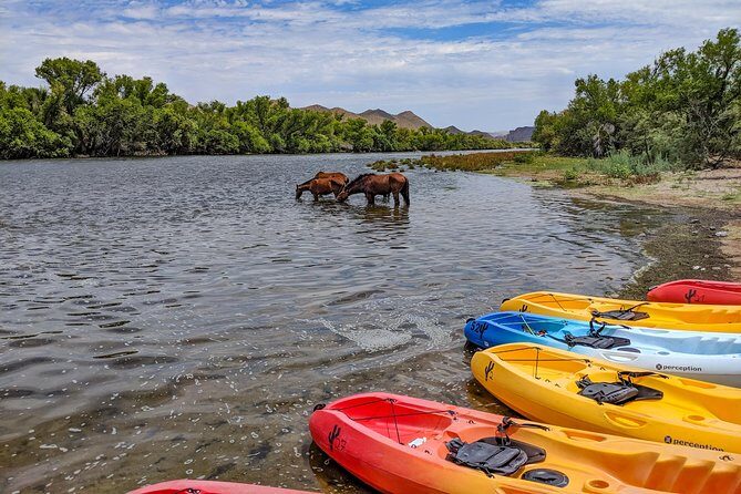 Kayaking the Salt River Foxtail Trip - Authentic Experiences from Travelers