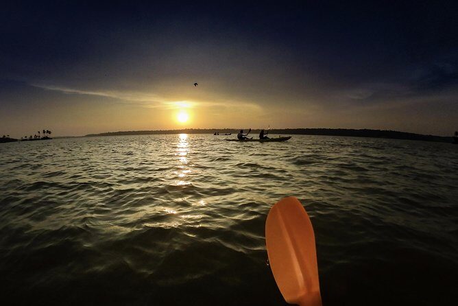 Kayaking to the Black Devil Snail Sandbar Island in Paravur Lake near Varkala - Final Thoughts