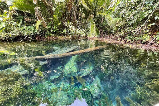 Kayaking Tour at Klong Root (Crystal Lake), Krabi - Practical Tips for Your Trip
